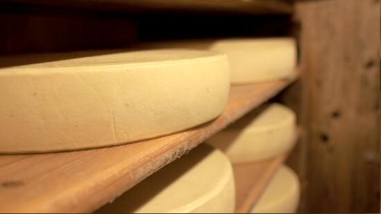 Col de la Croix Alpine Pastures