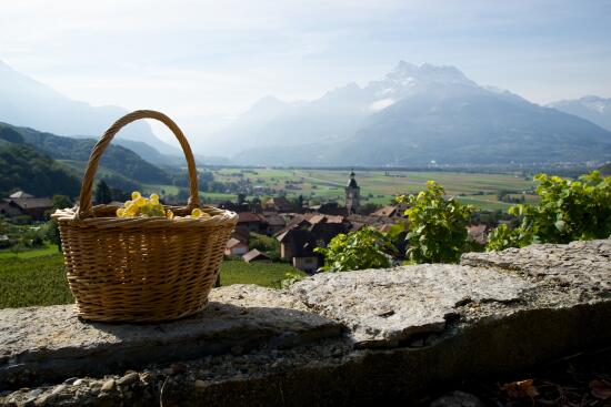 Artisans vignerons d'Ollon