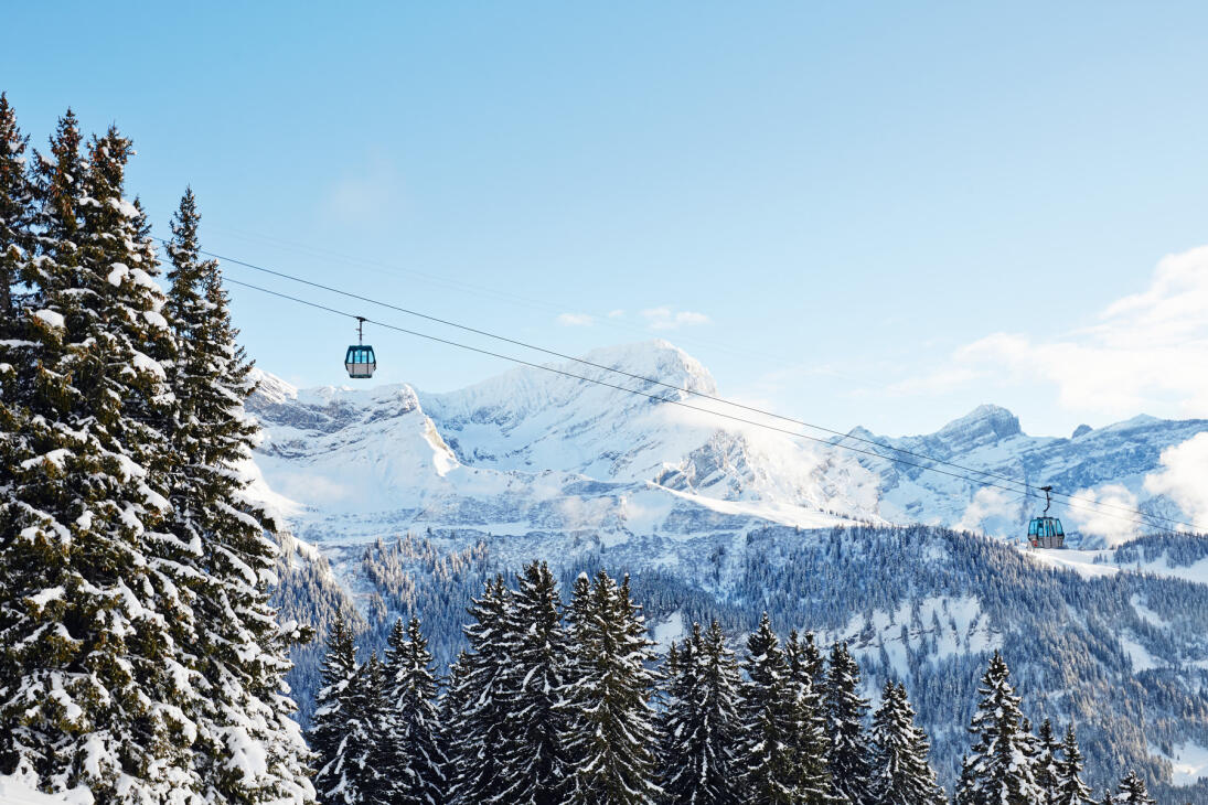 Télécabine Barboleuse - Les Chaux