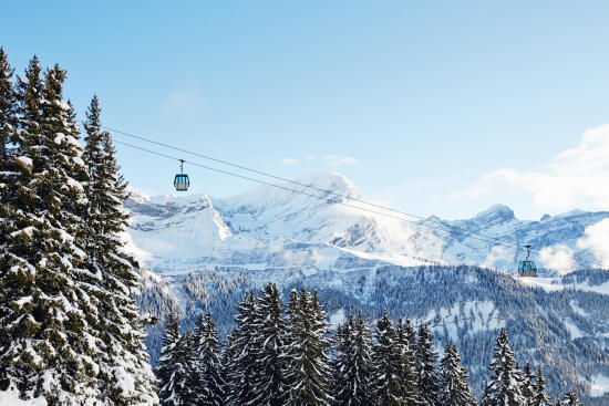 Télécabine Barboleuse - Les Chaux