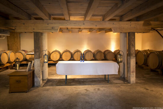 Domaine La Capitaine Bio - Begnins