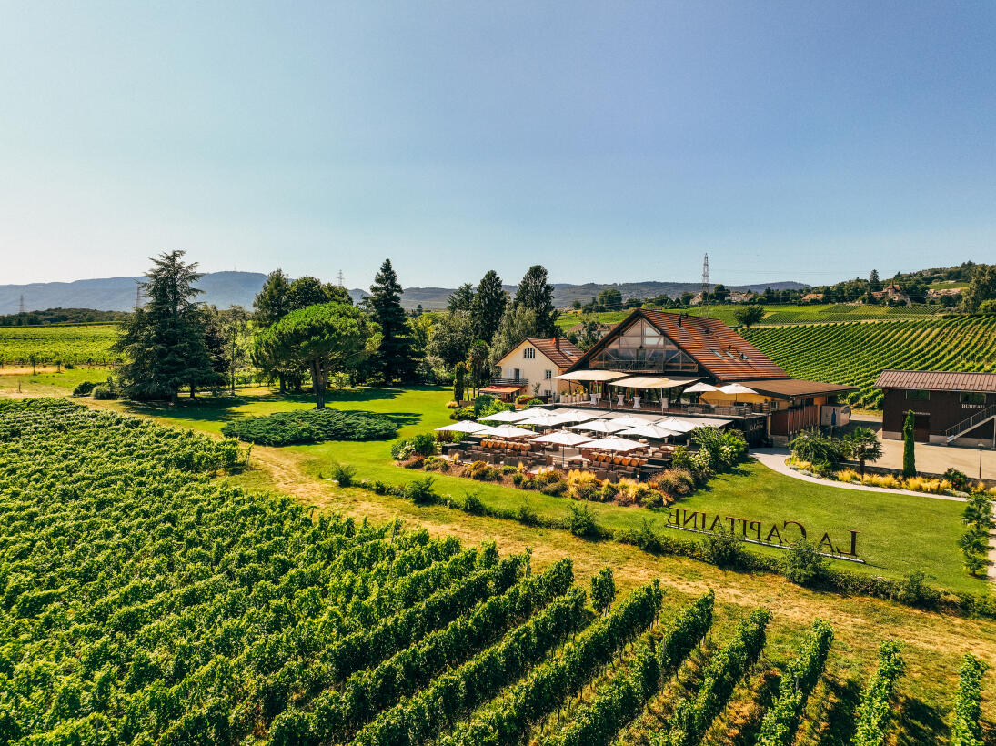 Domaine La Capitaine Bio - Begnins