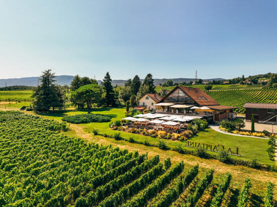 Domaine La Capitaine Bio - Begnins