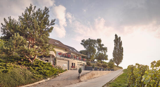 Domaine Beauregard - Rolle