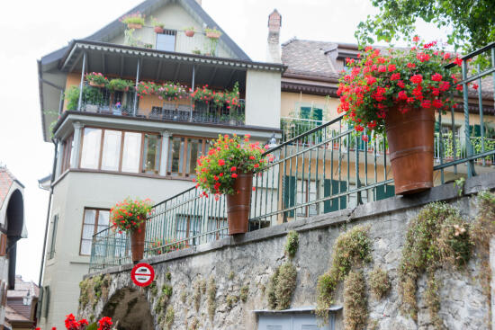 Cave Alain Ruchonnet