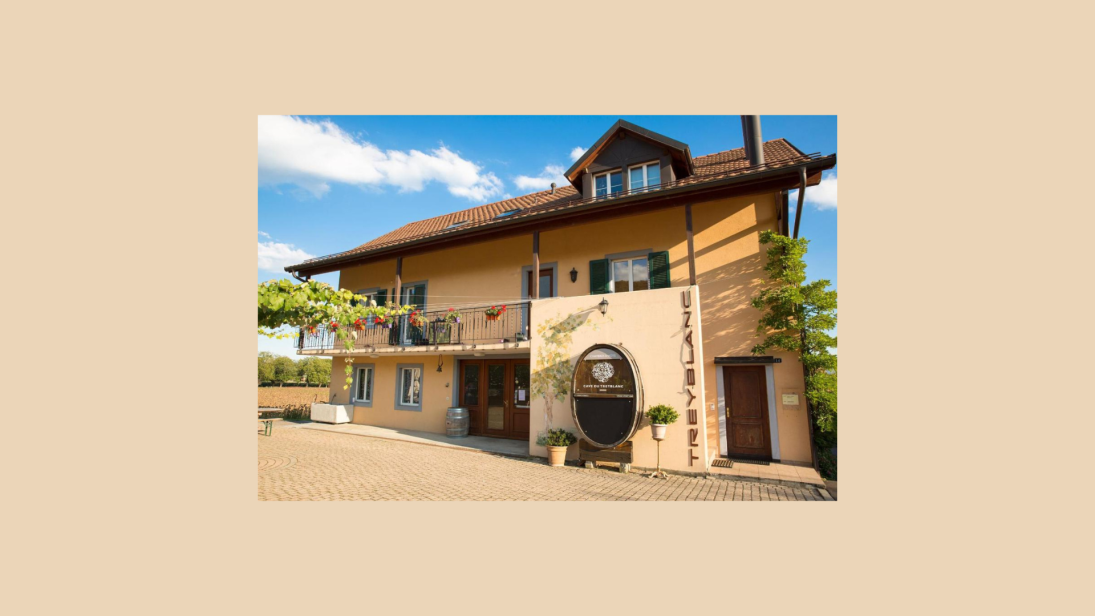 Cave du Treyblanc - Luins