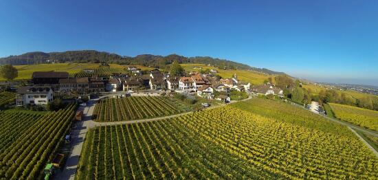 Domaine de la Montardière