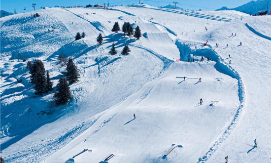 Snowpark Villars-Les Diablerets