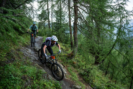 Hommes en VTT en forêt avec le Bureau des Guides des Alpes Vaudoises