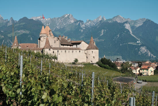 Au temps du Moyen Âge