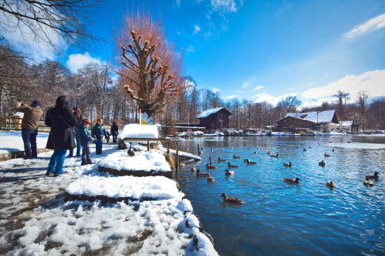 Le Site de Sauvabelin