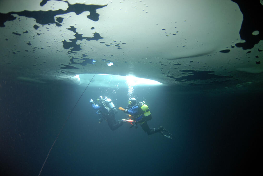Plongée sous glace