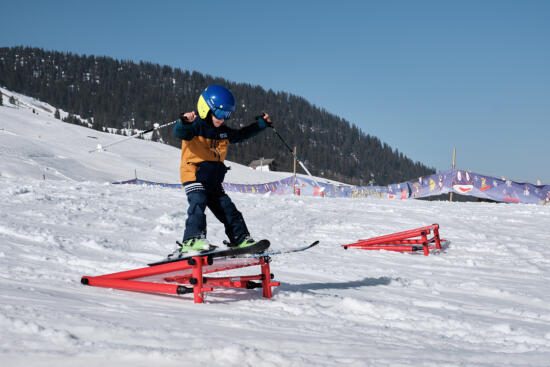 Ecole Suisse de Ski des Mosses