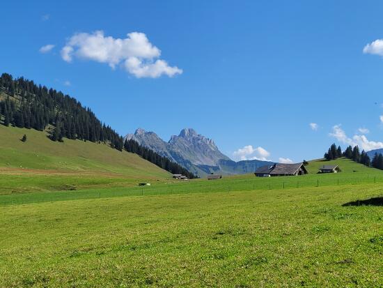 Vue sur la Pierreuse depuis la buvette des Charmilles en été
