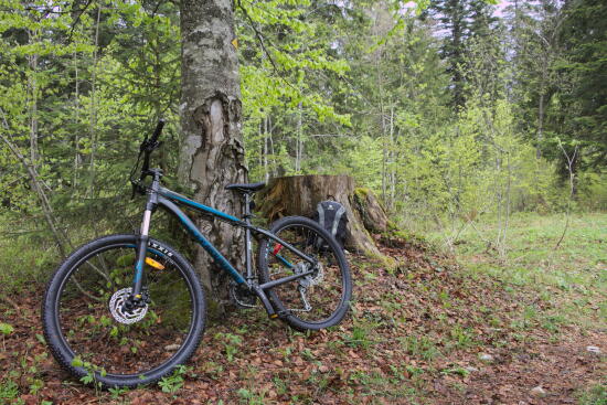 Vélo & VTT à la Vallée de Joux