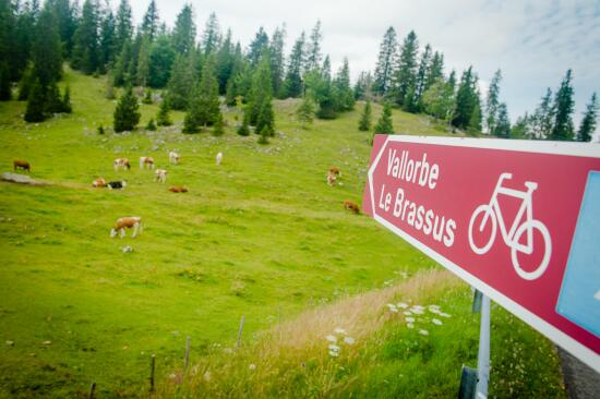 Vélo & VTT à la Vallée de Joux