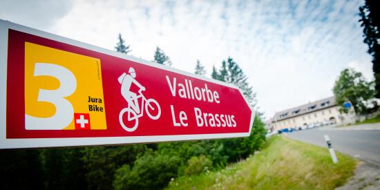 Vélo & VTT à la Vallée de Joux