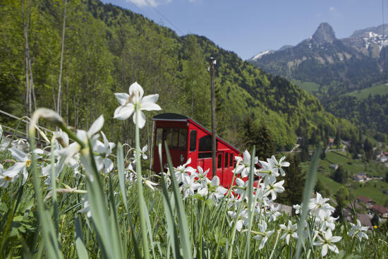 Funiculaire Les Avants - Sonloup