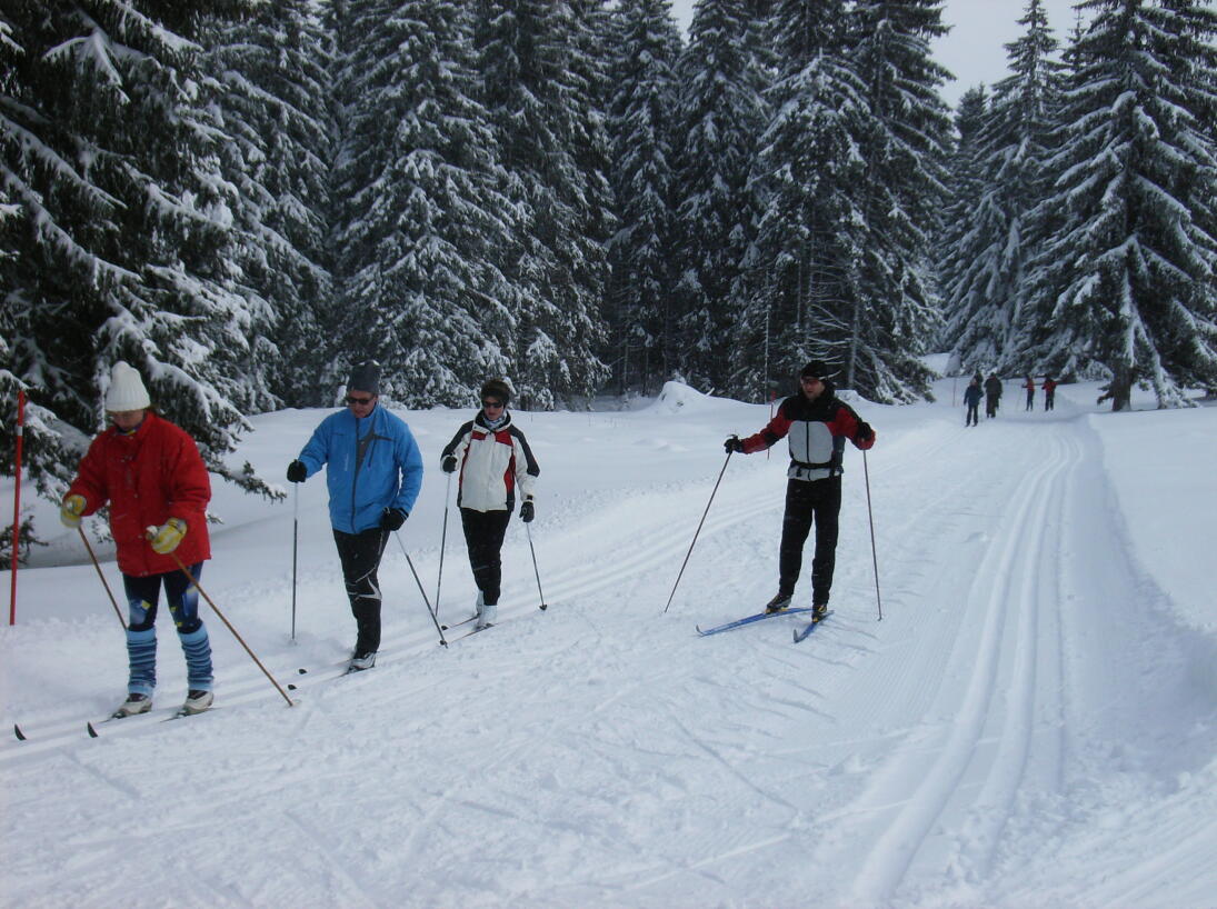 Ecole de ski de fond du Mollendruz (ESS)