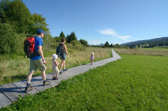 Randonnée pédestre à la Vallée de Joux