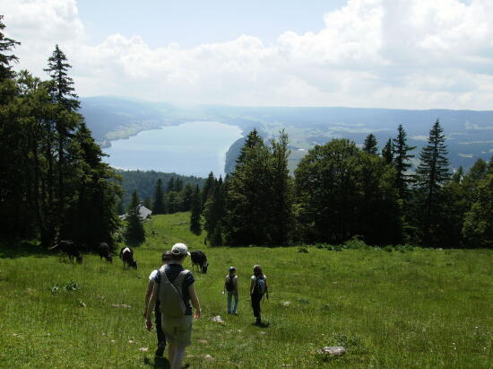 Randonnée pédestre à la Vallée de Joux