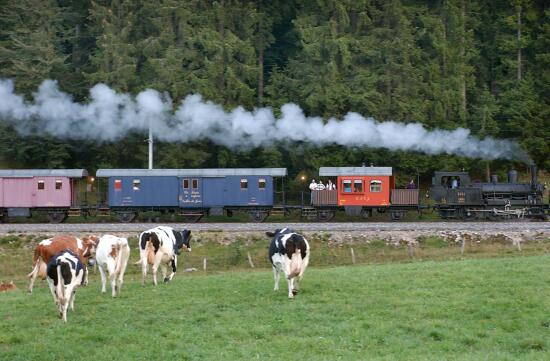 Steam Train Le Pont – Le Brassus