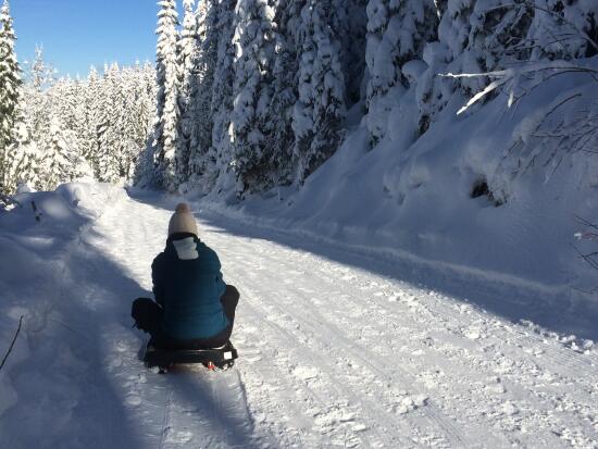 Pistes de luge de la Vallée de Joux