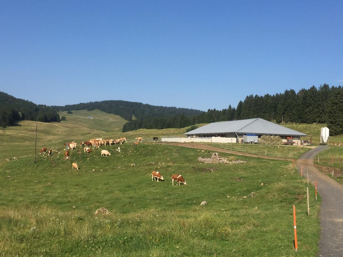 Chalet d'alpage la Baronne