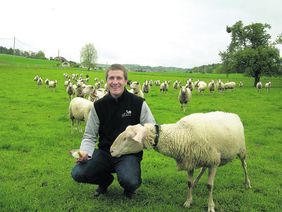 La Brebisane, glace artisanale