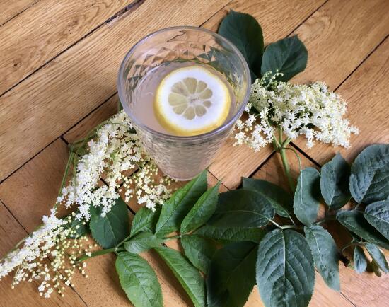 Sirop aux fleurs de sureau