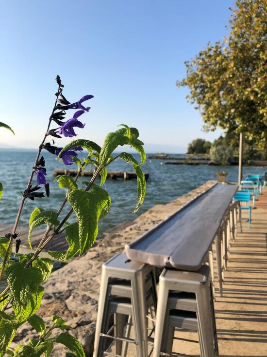 Restaurant de la Plage - Nyon