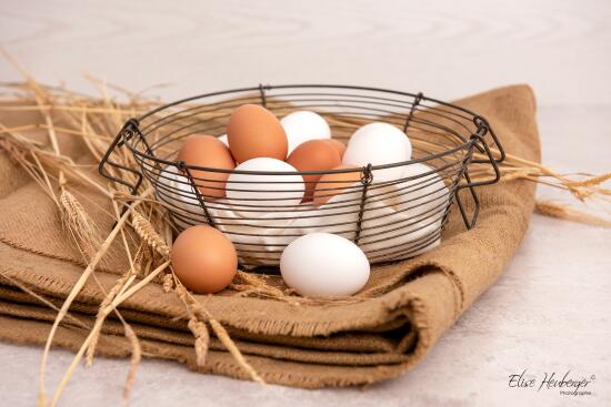 Œufs de la ferme