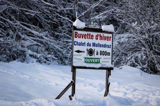 Chalet du Mollendruz
