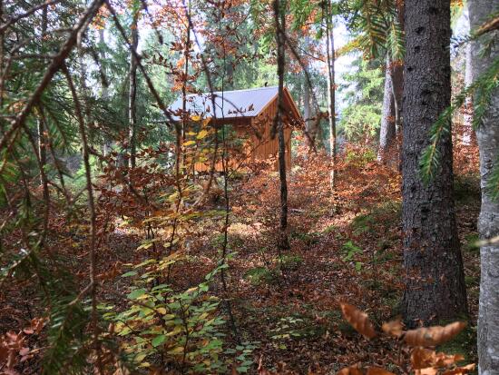 Randonnée gourmande dans la forêt du Risoud