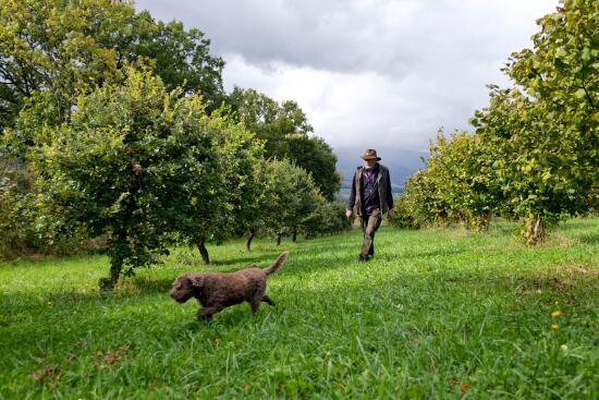 Suchy & Truffe - Balade dans la truffière, cavage, atelier et repas
