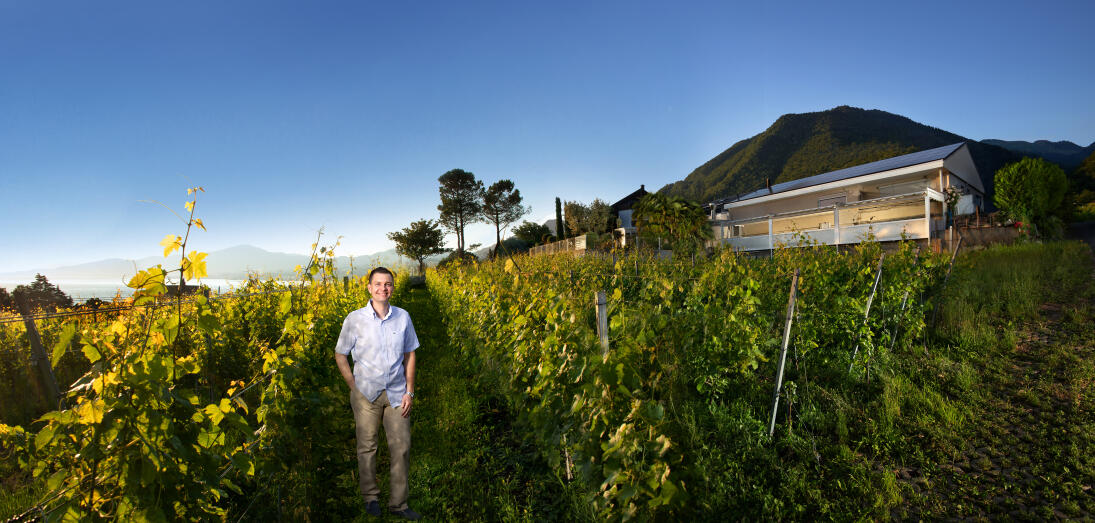 Domaine des Moines, Serge Diserens