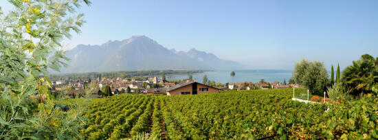 Domaine des Moines, Serge Diserens