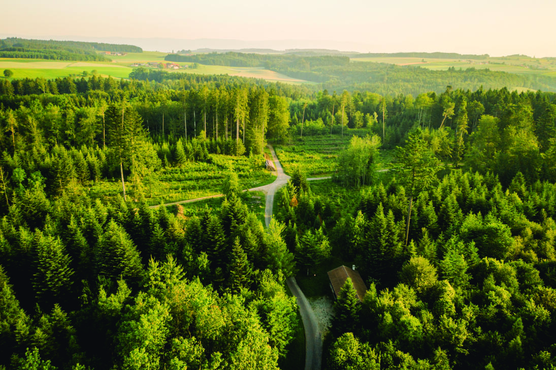 Randonnées dans Moudon et région