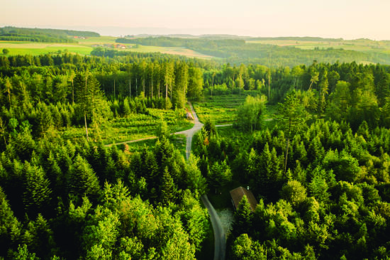Randonnées dans Moudon et région