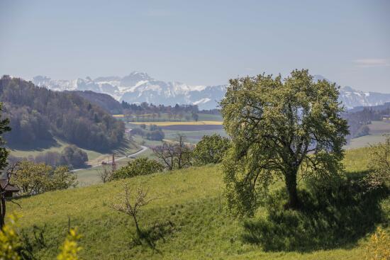 Randonnées dans Moudon et région