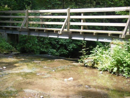 Randonnées dans Moudon et région