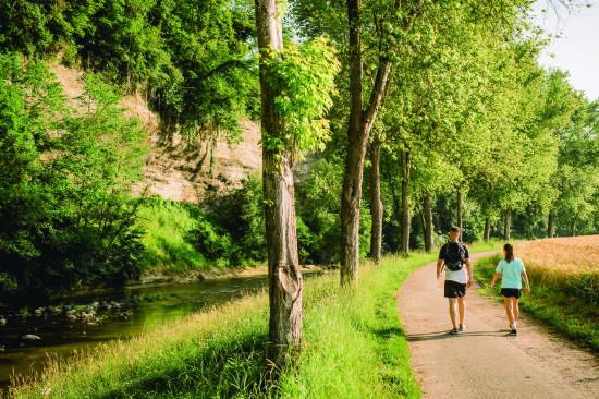 Randonnées dans Moudon et région