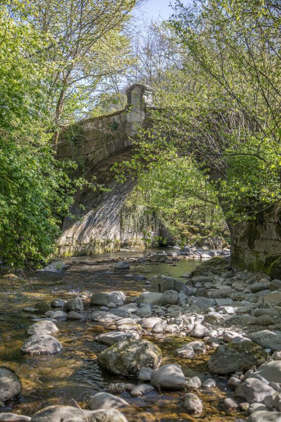 Randonnées dans Moudon et région