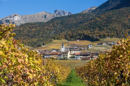 Domaine Dillet