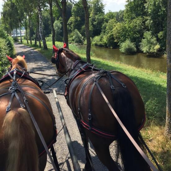 Apéro-raclette en char