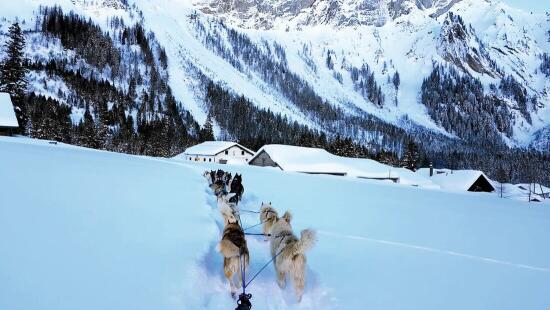 Arco Mushing Team
