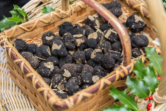 Truffes - Nord vaudois
