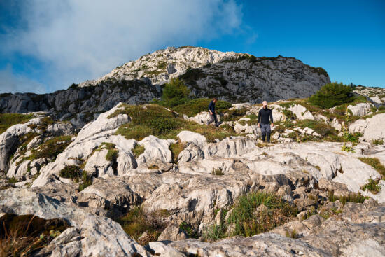 Lapias de Famelon - été - Leysin