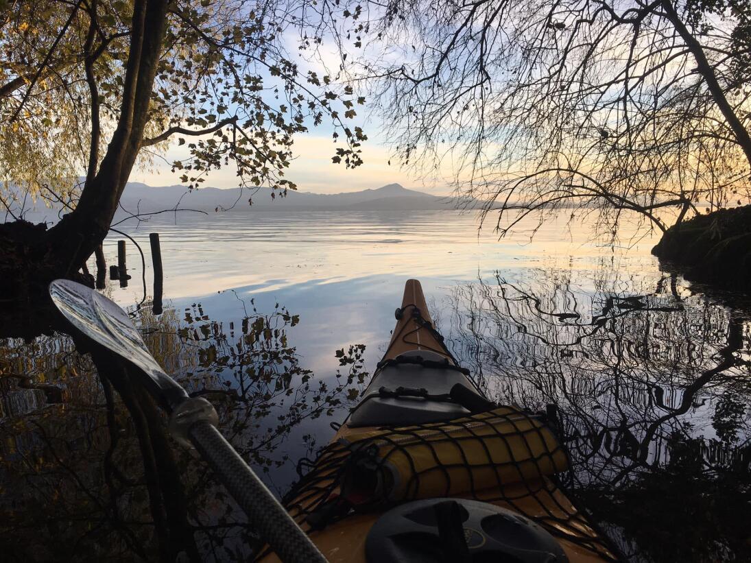 Ski Bus - Leysin-Les Mosses