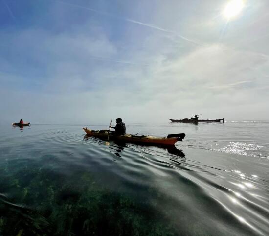 Ski Bus - Leysin-Les Mosses